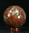 Colorful Petrified Wood Sphere #30361-1